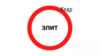 Элит