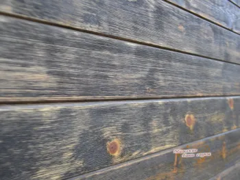 Баня Бочка Трио Wood 6000 Элит - Бани-бочки - Миасские бани и сауны